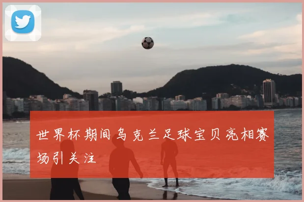 世界杯期间乌克兰足球宝贝亮相赛场引关注