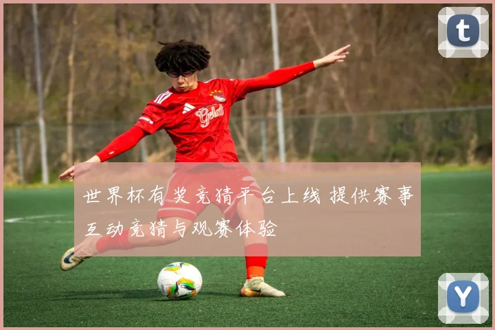 世界杯有奖竞猜平台上线 提供赛事互动竞猜与观赛体验