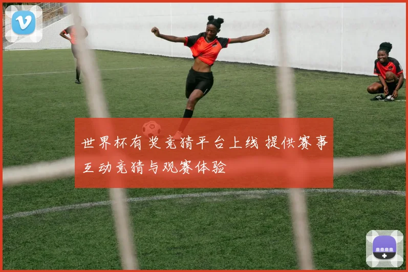 世界杯有奖竞猜平台上线 提供赛事互动竞猜与观赛体验